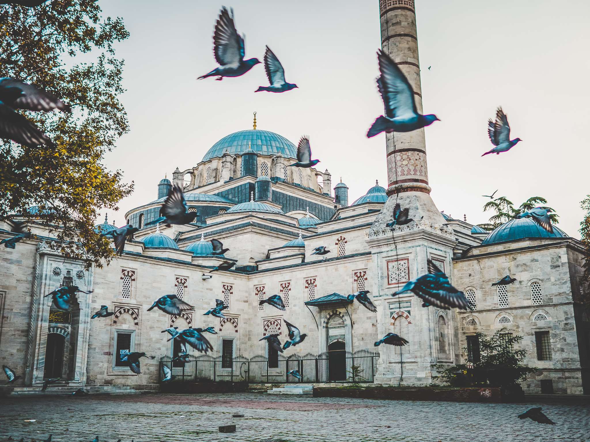 Vue sur une mosquée de la ville d'Istanbul au petit matin avec une envolée de pigeons